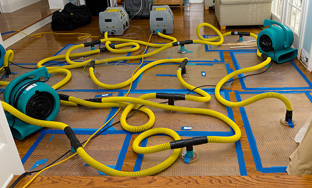 Professional Water Damage Repair technician working in Milford Center, OH